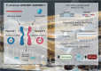 Graphical Abstract