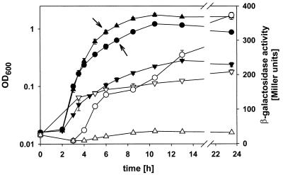 FIG. 3