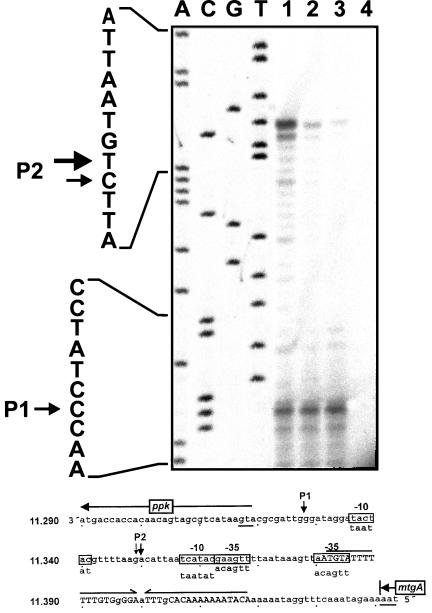 FIG. 5