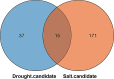 Fig. 11