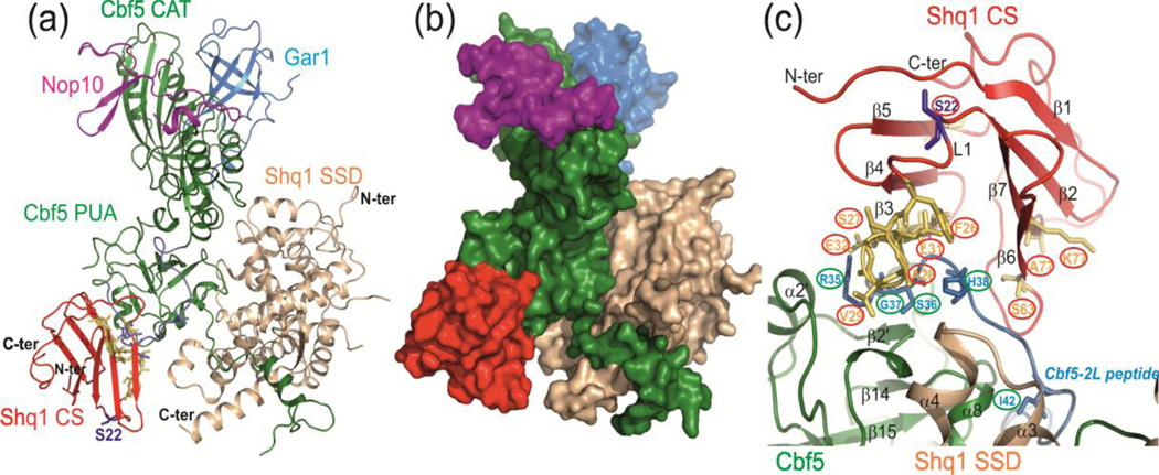 Fig. 4