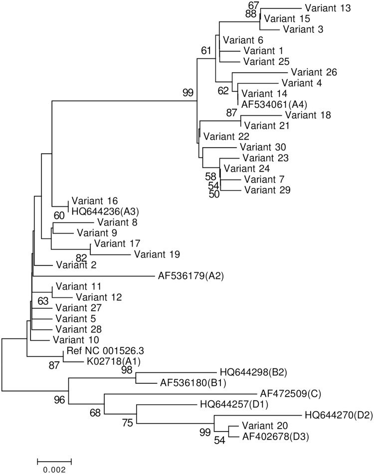 Fig 2