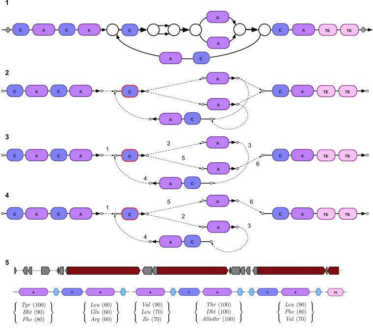 Figure 5.