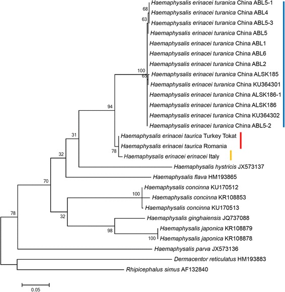 Fig. 3