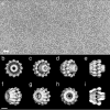 FIG. 2.