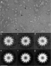 FIG. 1.