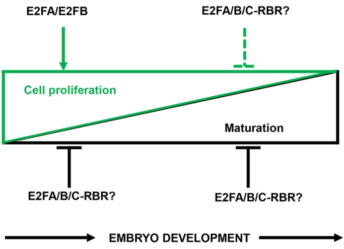 Fig. 9.