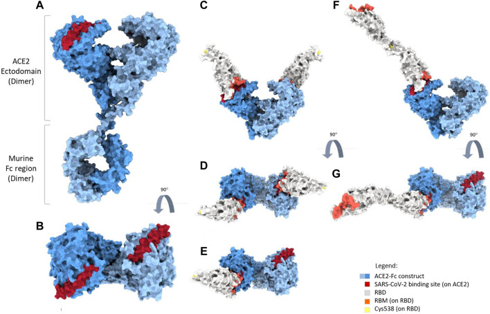 FIGURE 11