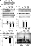 Figure 2.