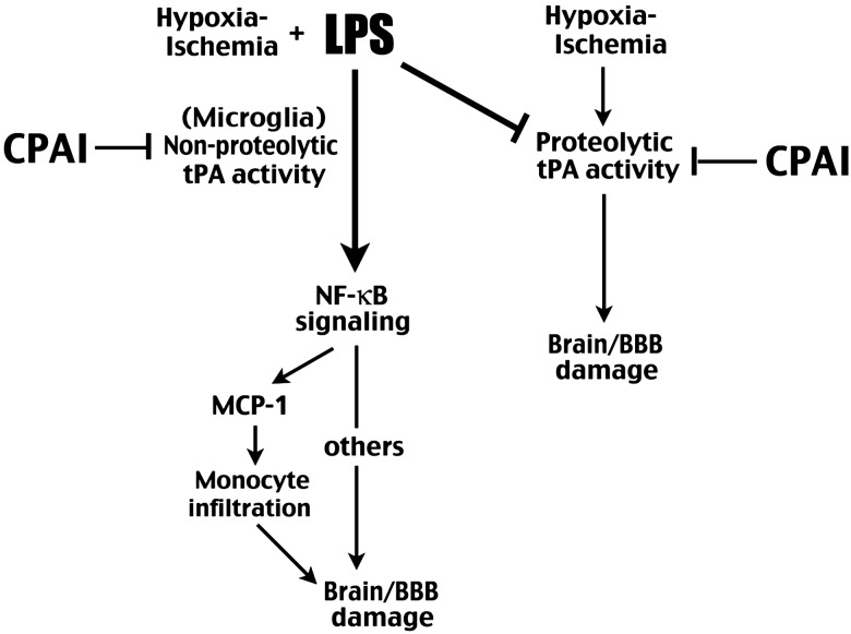 Figure 7.