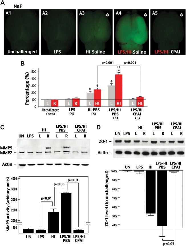 Figure 1.