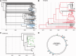 F<sc>ig</sc>. 8.—