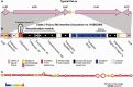 F<sc>ig</sc>. 6.—