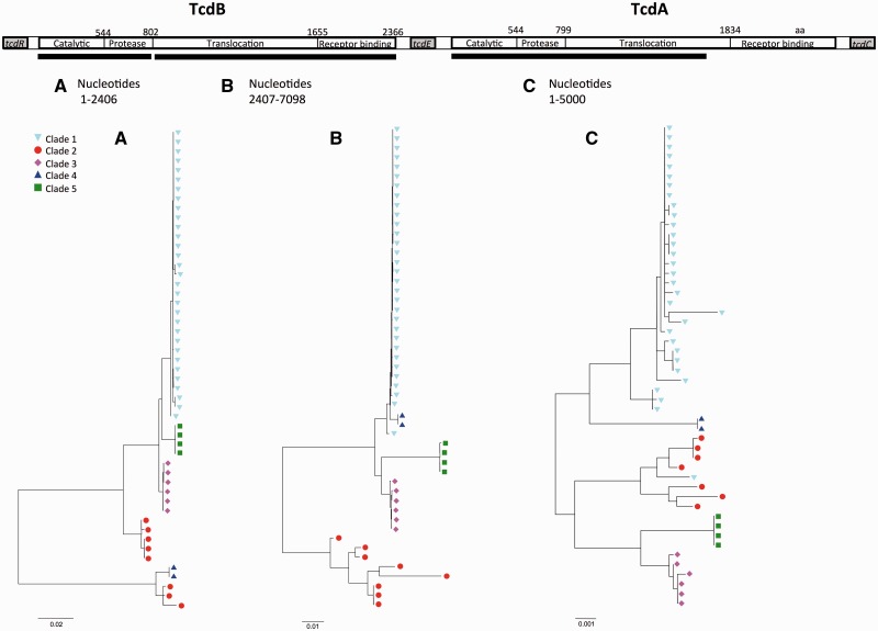 Fig. 2.—