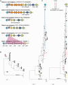 F<sc>ig</sc>. 5.—