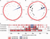 F<sc>ig</sc>. 4.—