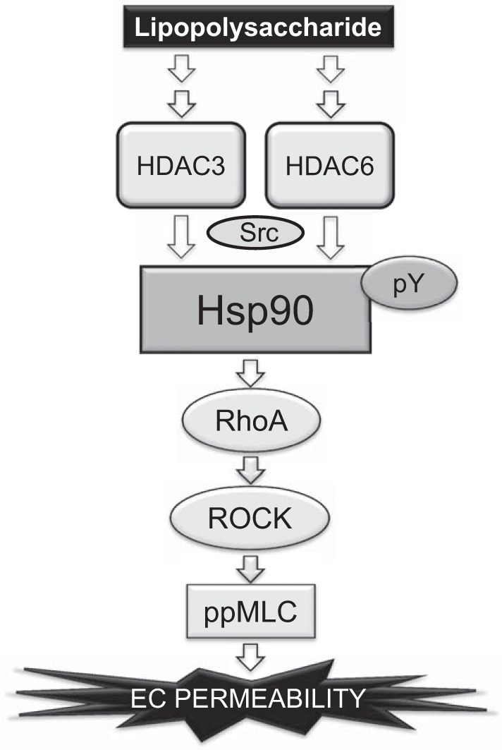 Fig. 9.