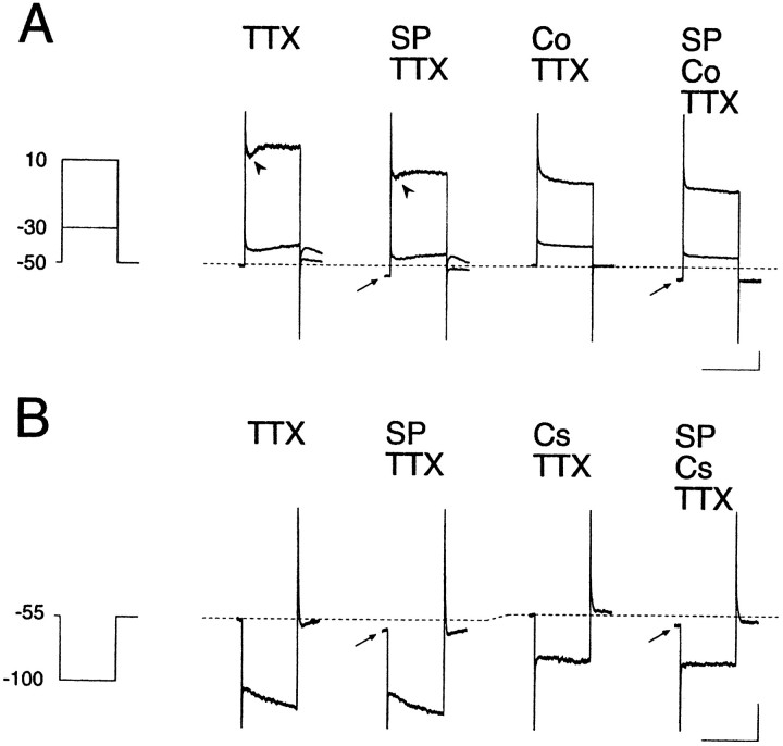 Fig. 6.