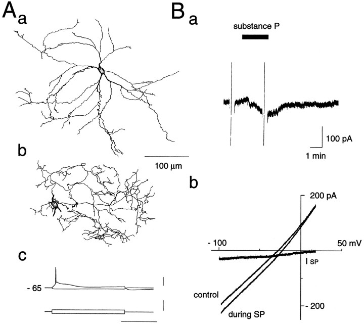 Fig. 10.