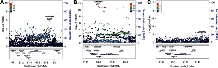 Figure 4.