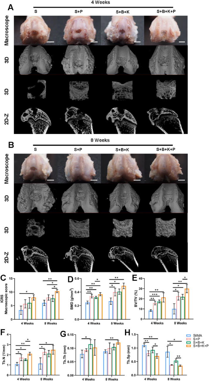 Fig. 8