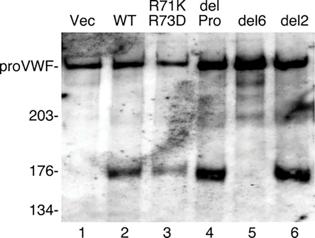 FIG. 7.