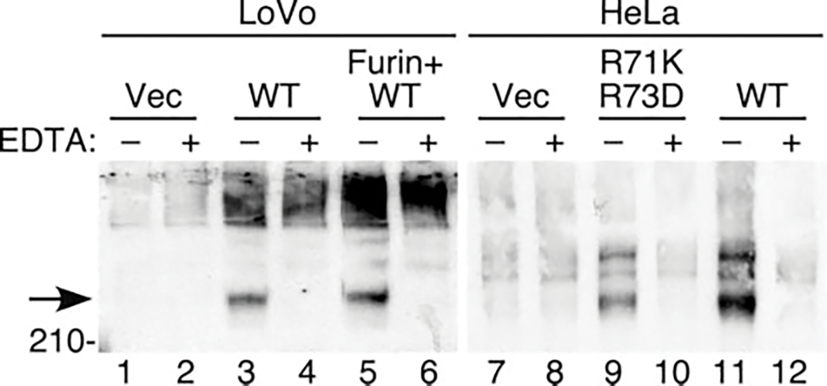 FIG. 5.