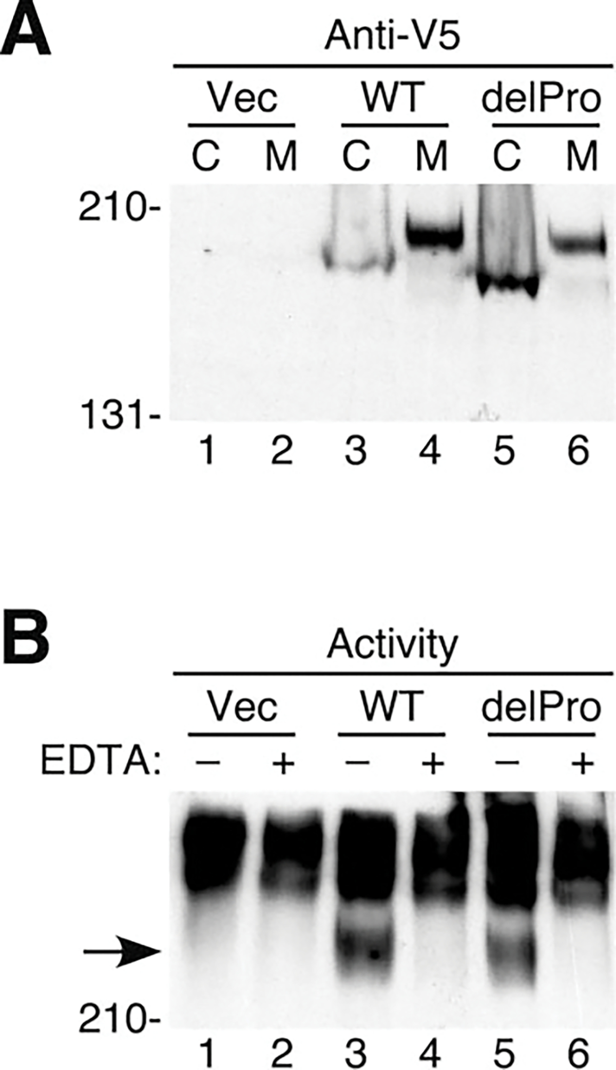 FIG. 6.