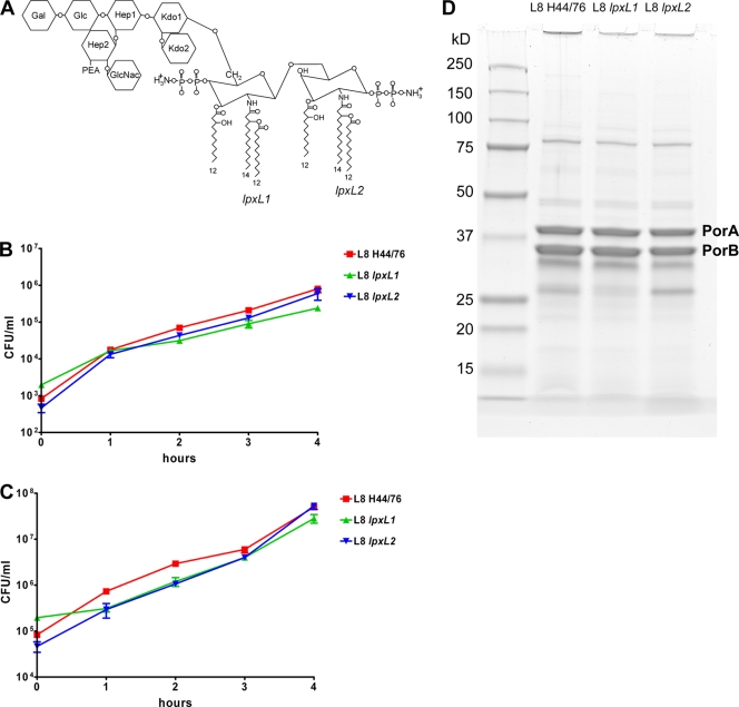 FIG. 1.