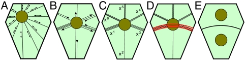 Fig. 5.