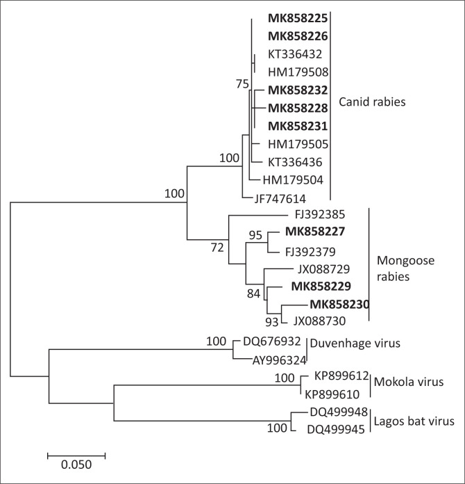 FIGURE 2