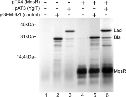 FIG. 5.