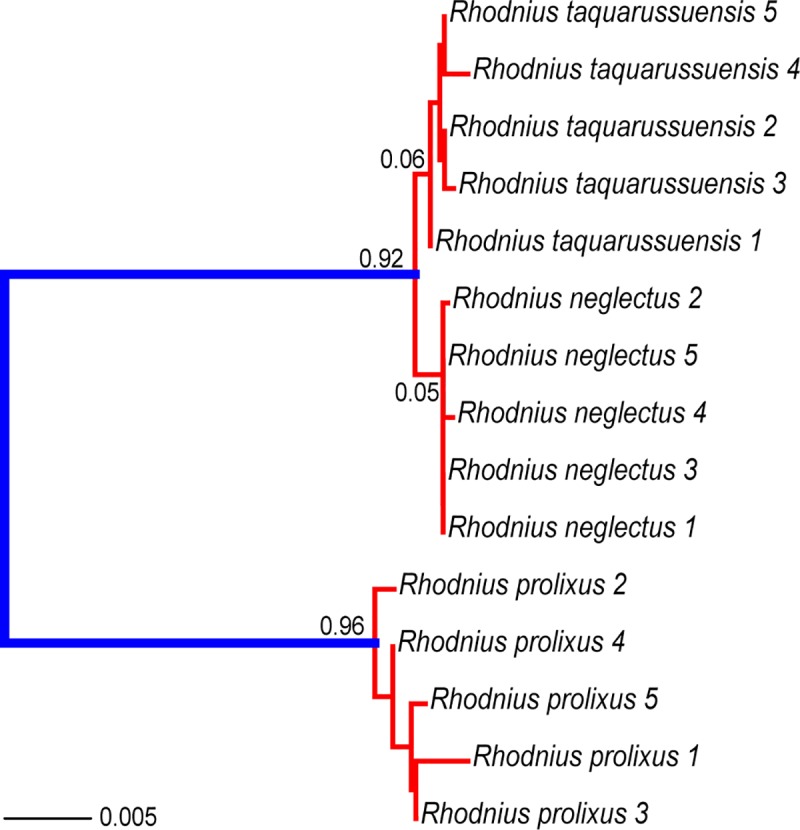 Fig 4