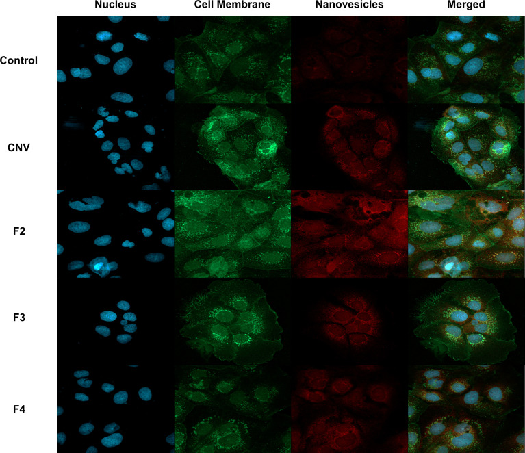 Figure 7