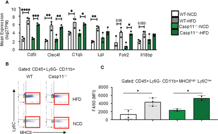 Figure 3