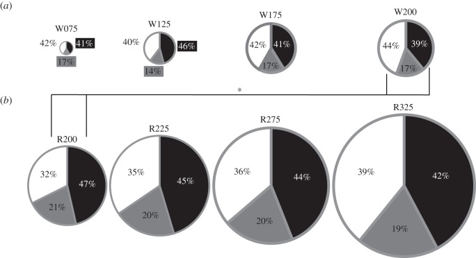 Figure 4.