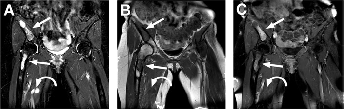 Fig. 2