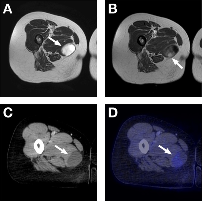 Fig. 4