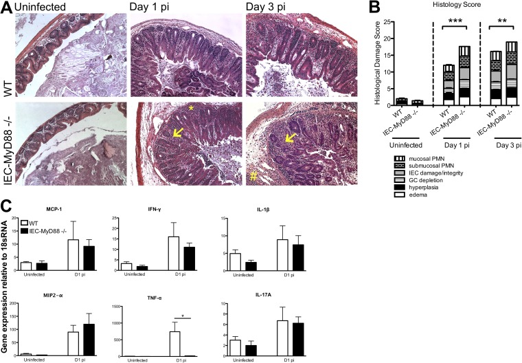 FIG 2