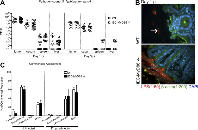 FIG 3