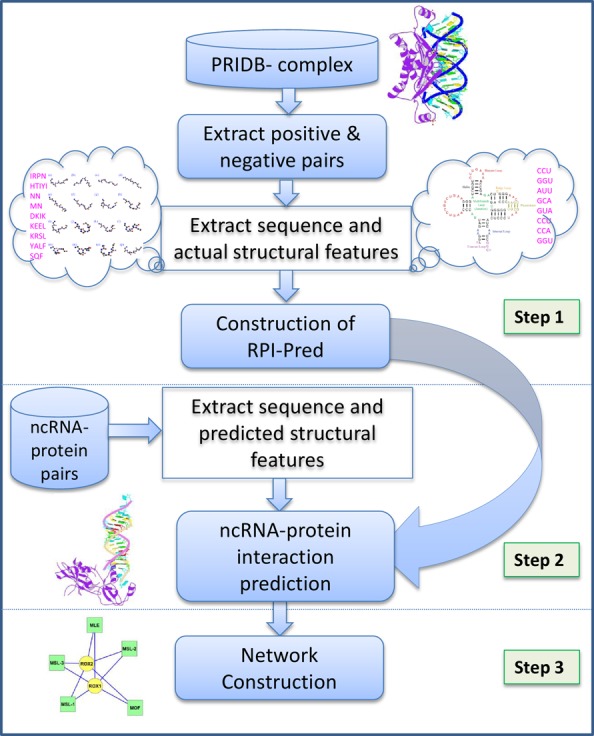 Figure 1.