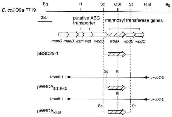 FIG. 1