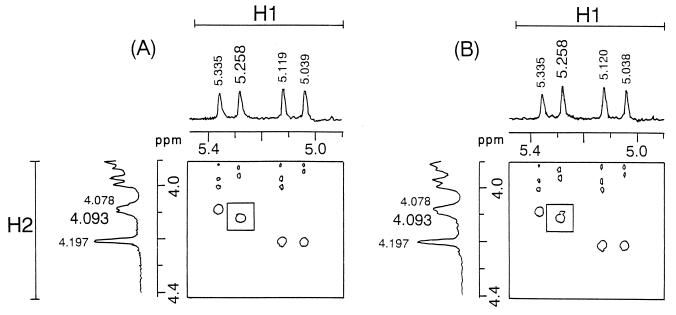 FIG. 6