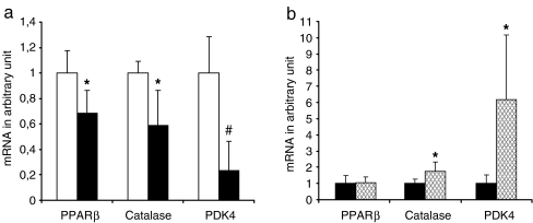 Fig. 7