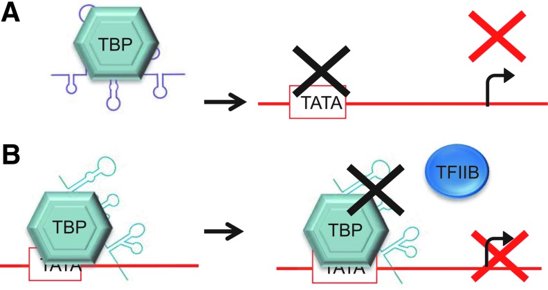 FIG. 11.