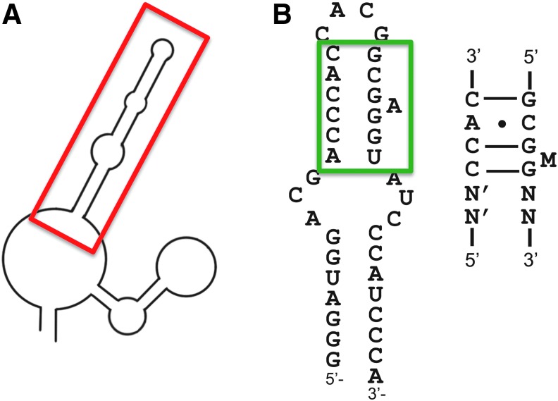 FIG. 13.