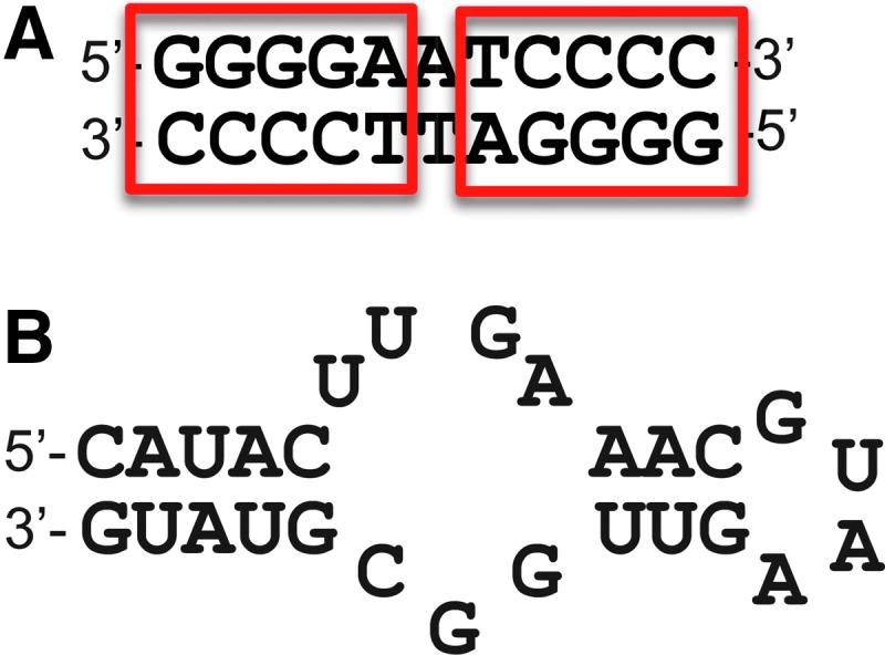 FIG. 10.