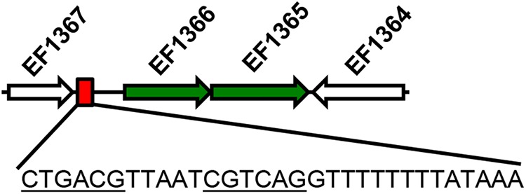 FIG 1