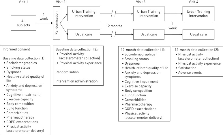 FIGURE 1