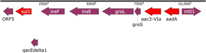 FIGURE 2